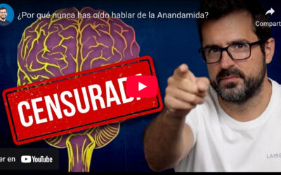 Anandamida: testimonio de un reset interno.