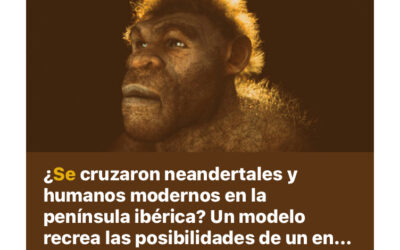 POLITICA