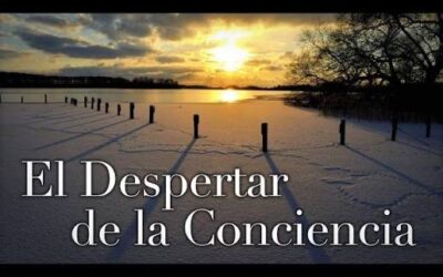 EL DESPERTAR DE LA CONCIENCIA